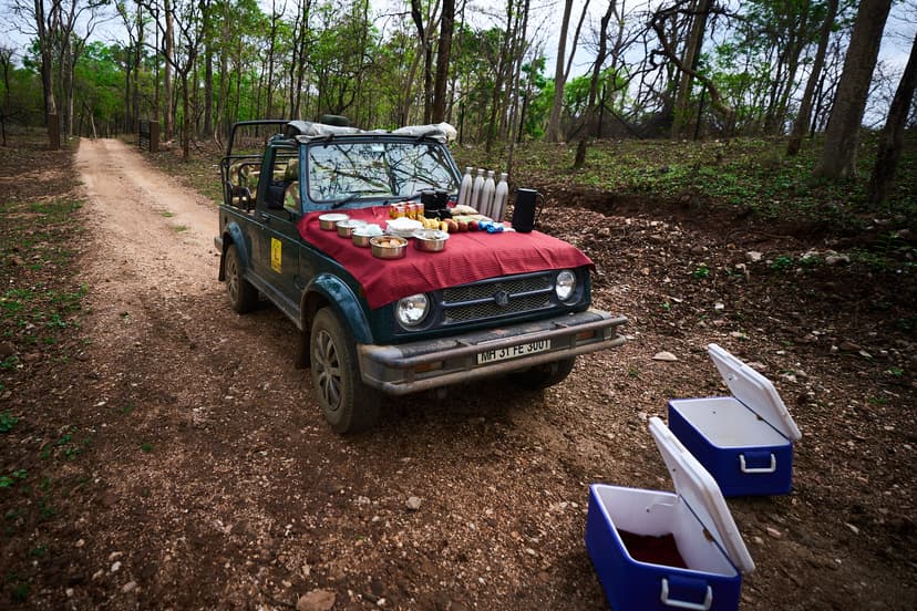 Safari breakfast laid out on a jeep bonnet on a forest trail inside Pench National Park near Saj in the Forest.