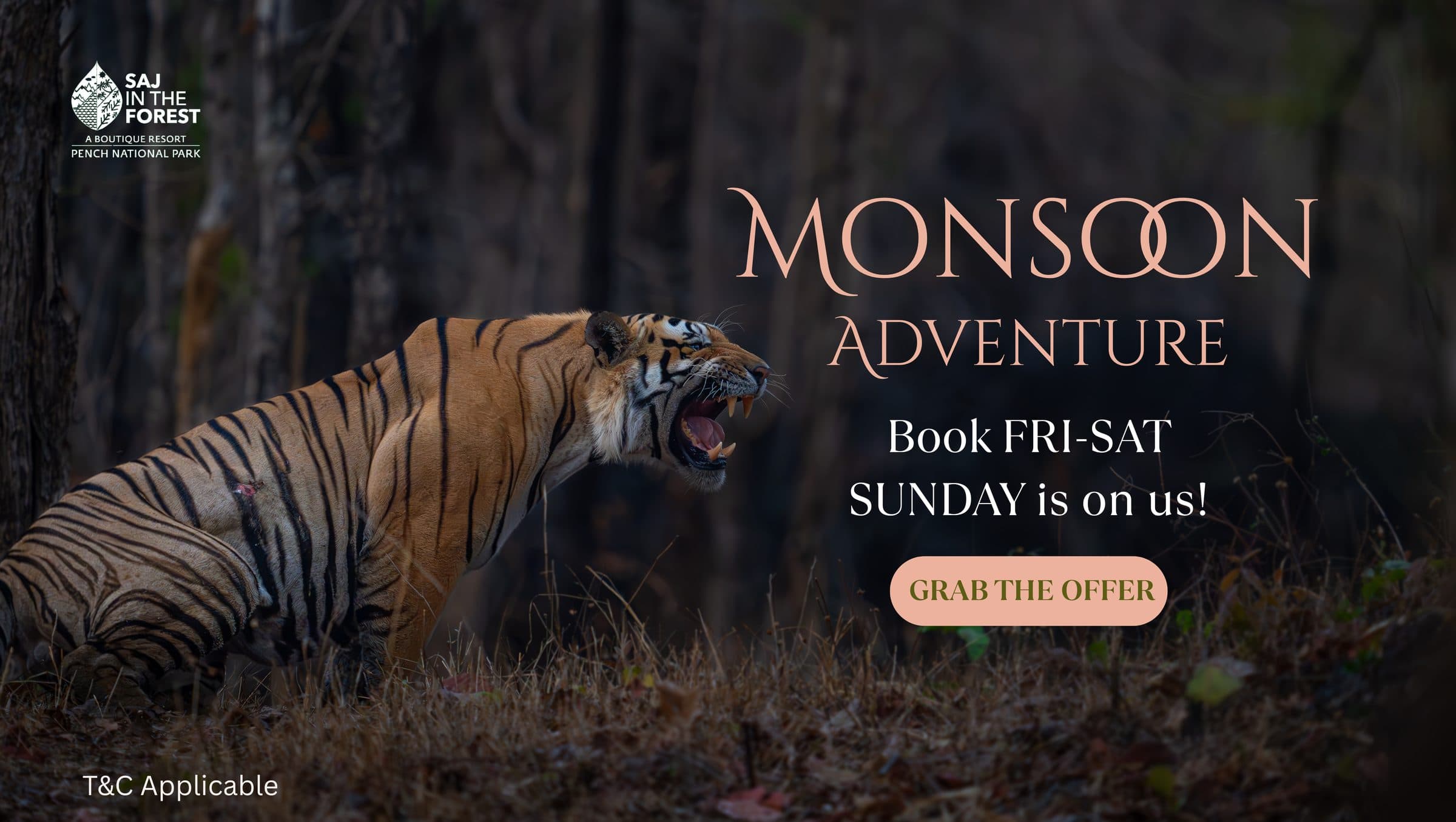 Monsoon Adventure Offer at Saj in the Forest - Pench National Park