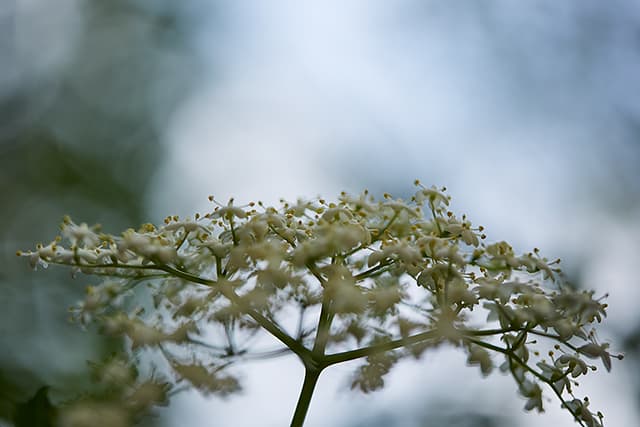 Nature walks and outdoor activities at Saj by the mountain for adventure seekers.