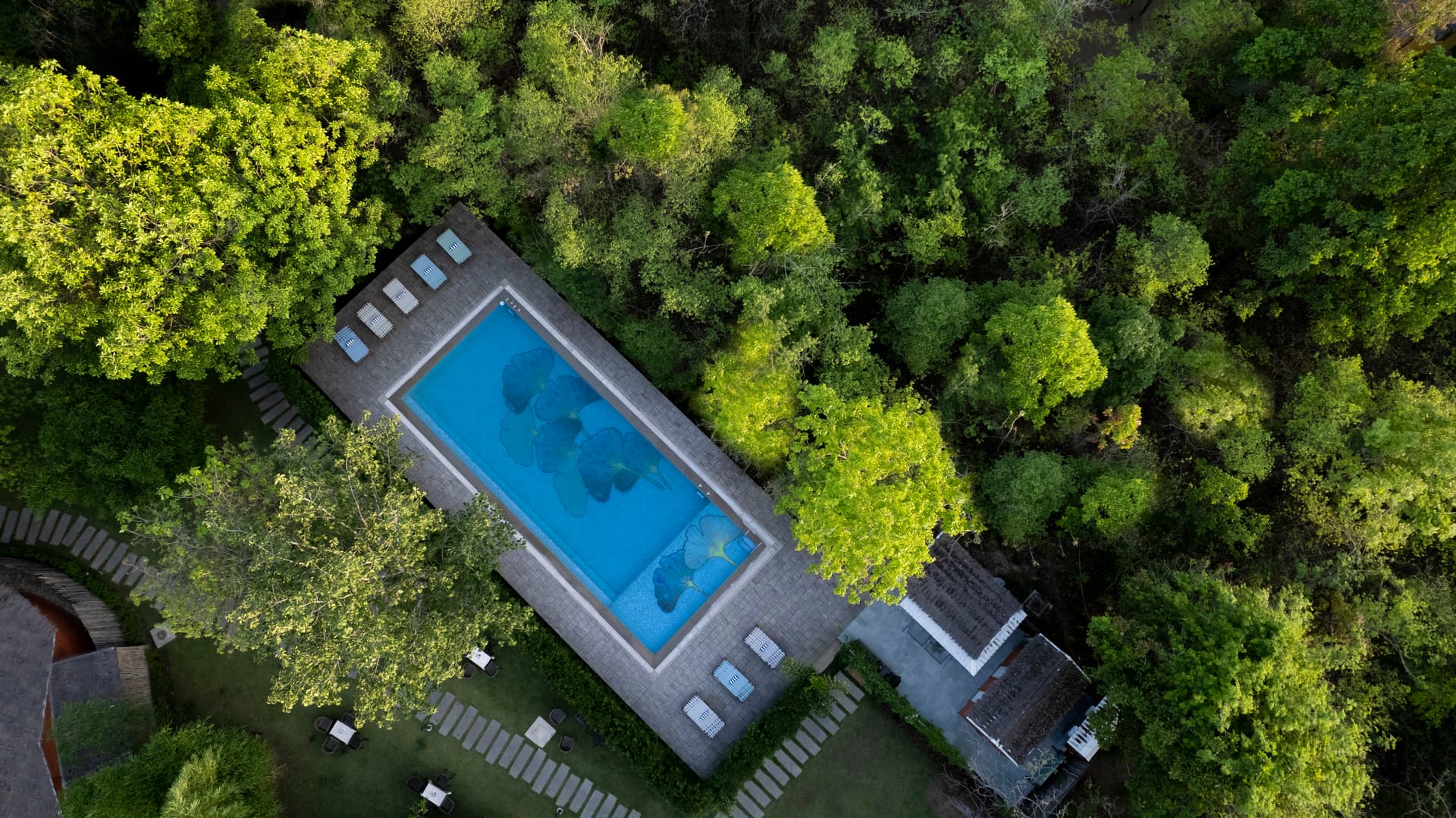 Aerial view of Saj in the Forest, Pench National Park, surrounded by lush monsoon greenery