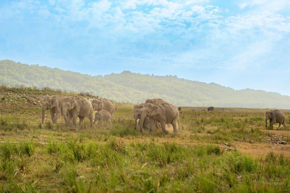 how to plan the perfect two-day pench itinerary