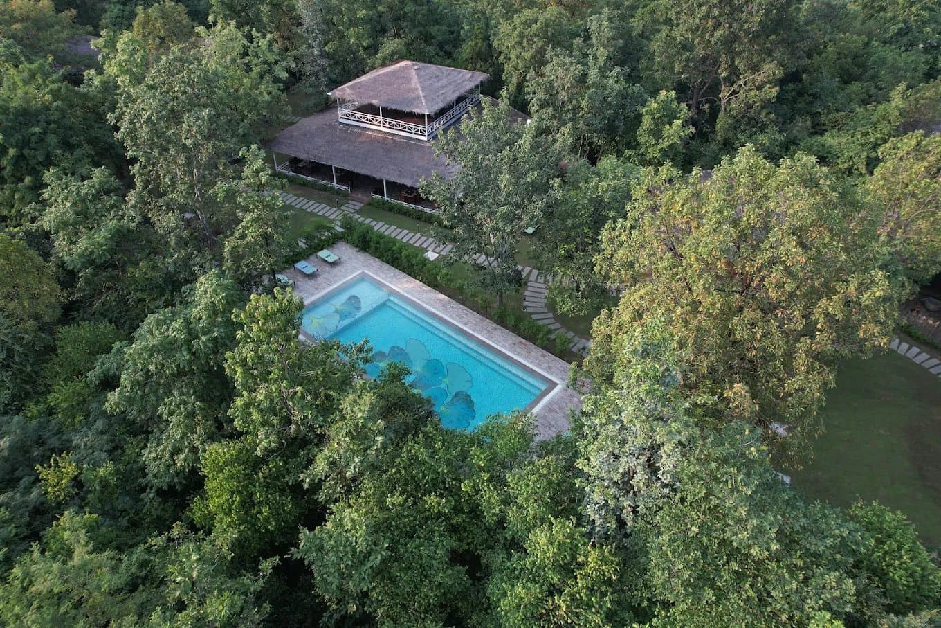 pench national park - your complete travel guide