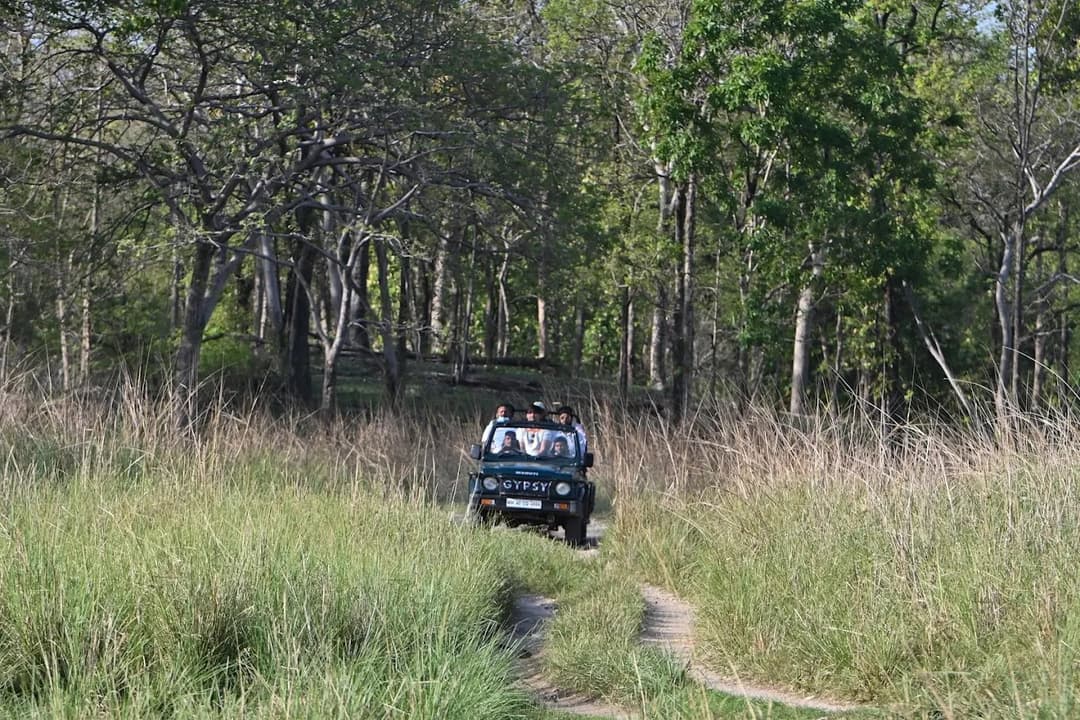 pench safari booking - complete guide for a memorable wildlife experience