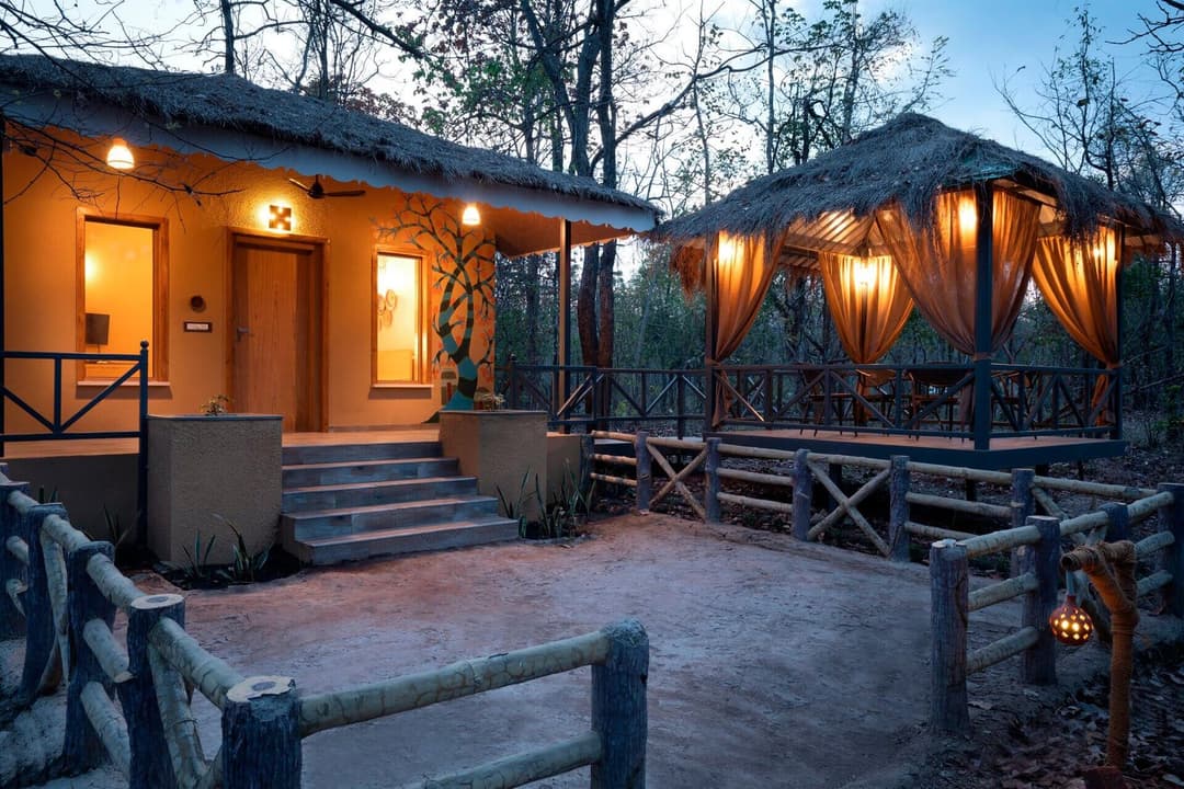 5 reasons saj in the forest is the perfect getaway